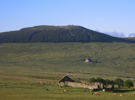 vue du mont mezenc