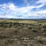 plateau du Coiron - séjour vélo Castagnades