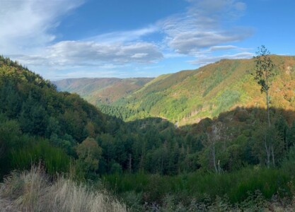 paysage des Monts d'Ardèche